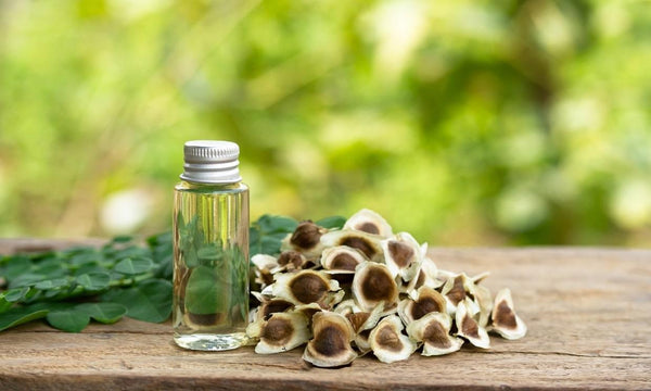 Moringa oil for skin: The 10 best benefits of moringa oil